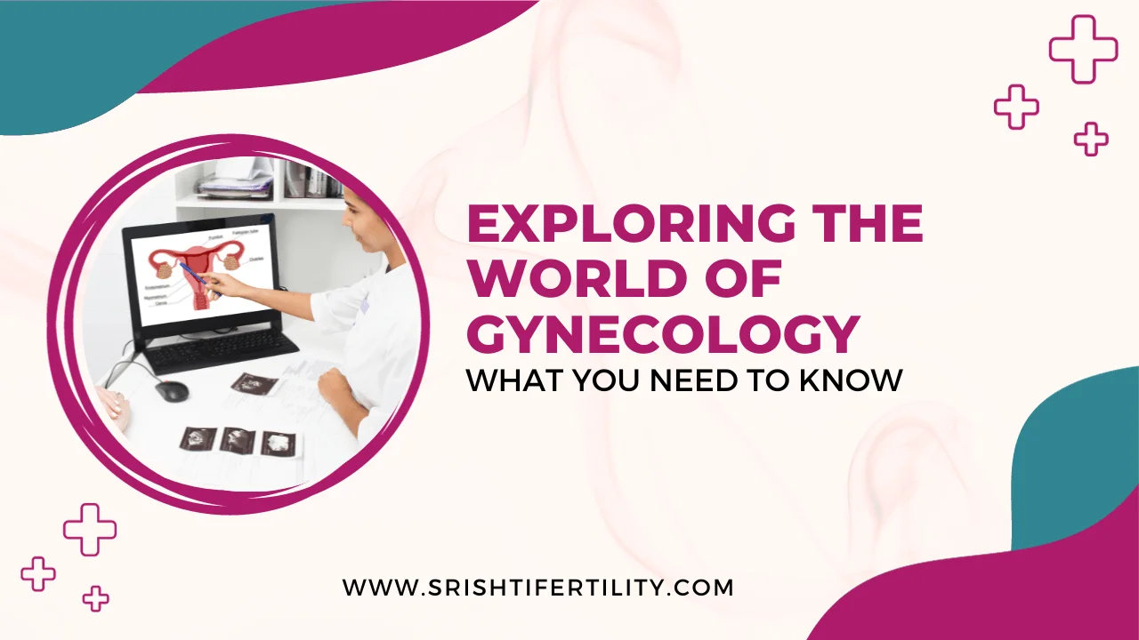Main Home 38 Main Home Exploring the World of Gynecology: What You Need to Know