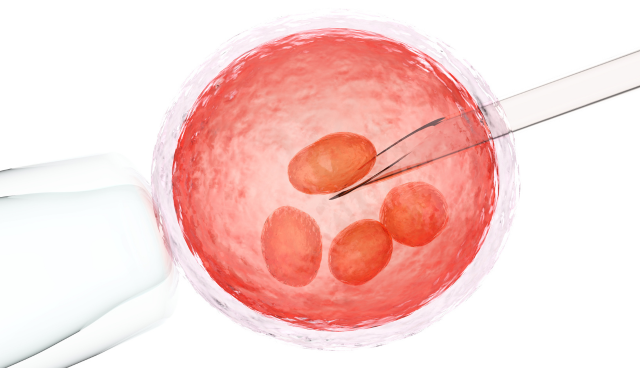 Fertility Injections for IVF Treatment