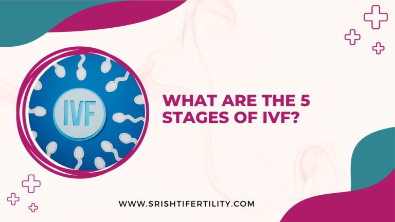 Complete Guide for- What Are The 5 Stages of IVF?