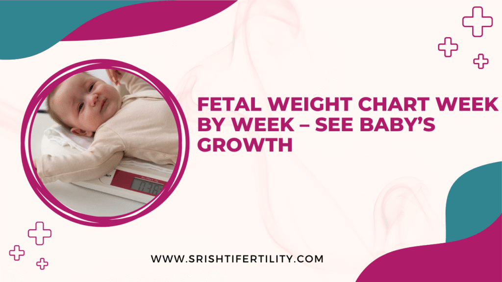 Fetal Weight Chart Week by Week – See Baby’s Growth!