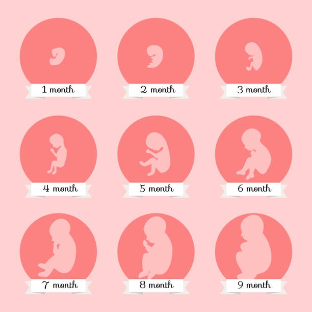 1st Month Pregnancy Symptoms: Pregnancy Ke Lakshan & Early Signs Before Missed Period 1 1st Month Pregnancy Symptoms: Pregnancy Ke Lakshan & Early Signs Before Missed Period image 4 1st Month Pregnancy Symptoms: Pregnancy Ke Lakshan & Early Signs Before Missed Period