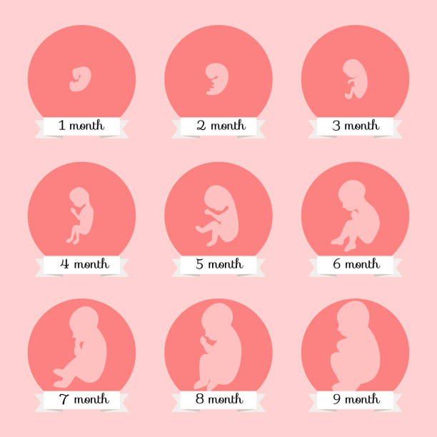 5 Common Symptoms of Pregnancy in First Month – Find Now 1 5 Common Symptoms of Pregnancy in First Month – Find Now istockphoto 637368696 612x612 1 5 Common Symptoms of Pregnancy in First Month – Find Now