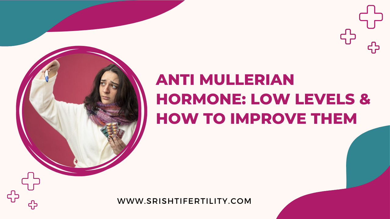 Main Home 24 Main Home Anti Mullerian Hormone: Low Levels & How to Improve Them