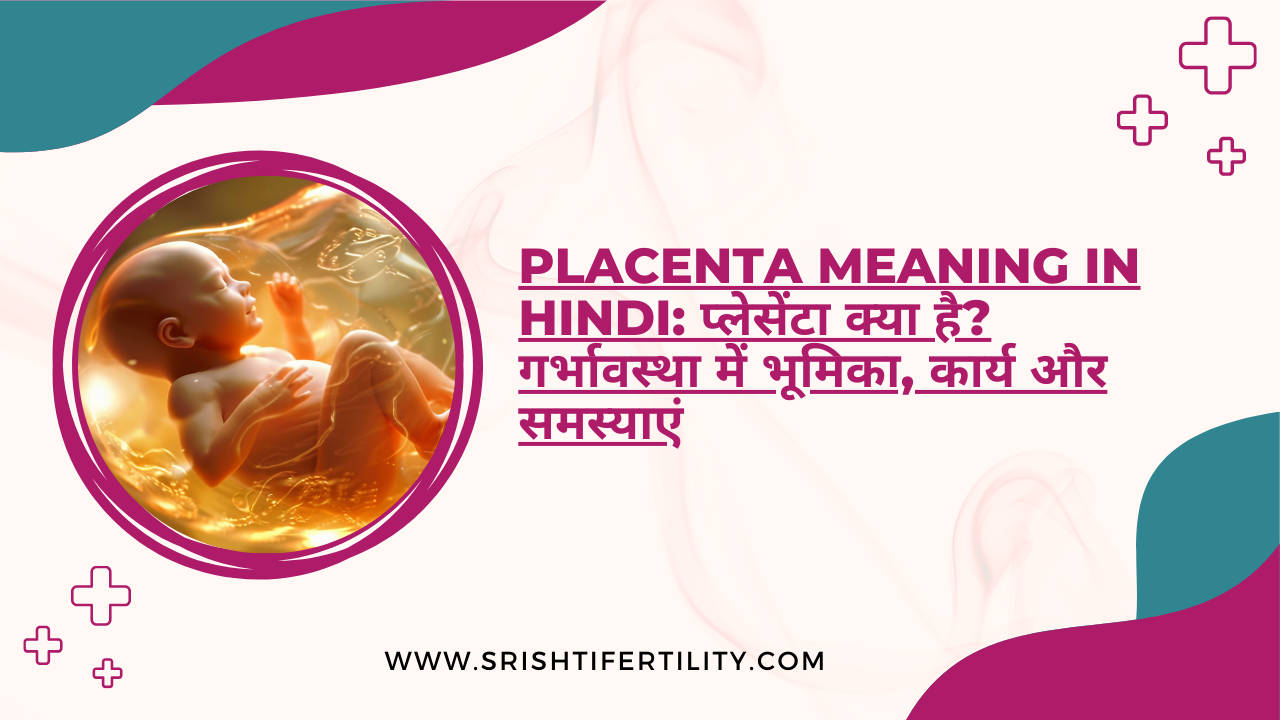 Main Home 49 Main Home Placenta Meaning in Hindi: प्लेसेंटा क्या है? गर्भावस्था में भूमिका, कार्य और समस्याएं