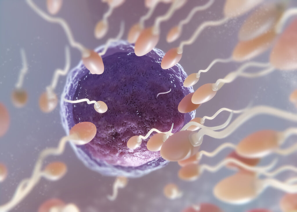 Sperm Cramps (Pain After Ejaculation in Men): Causes & Safe Treatment 12 Sperm Cramps (Pain After Ejaculation in Men): Causes & Safe Treatment Sperm Cramps (Pain After Ejaculation in Men): Causes & Safe Treatment
