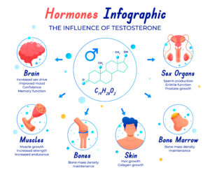 Testosterone Meaning in Hindi – टेस्टोस्टेरोन क्या है, इसके लक्षण और महिलाओं पर प्रभाव