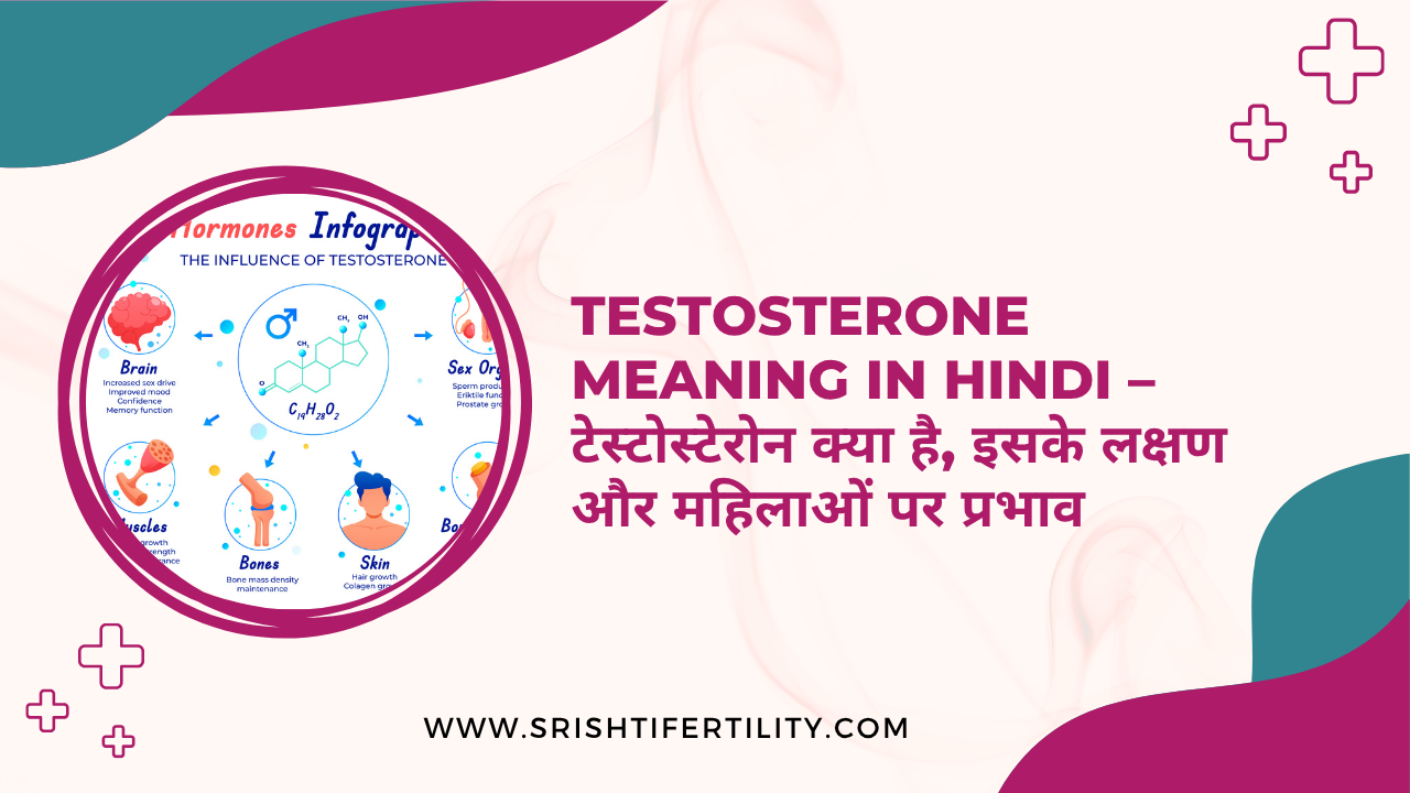 Main Home 39 Main Home Testosterone Meaning in Hindi – टेस्टोस्टेरोन क्या है, इसके लक्षण और महिलाओं पर प्रभाव