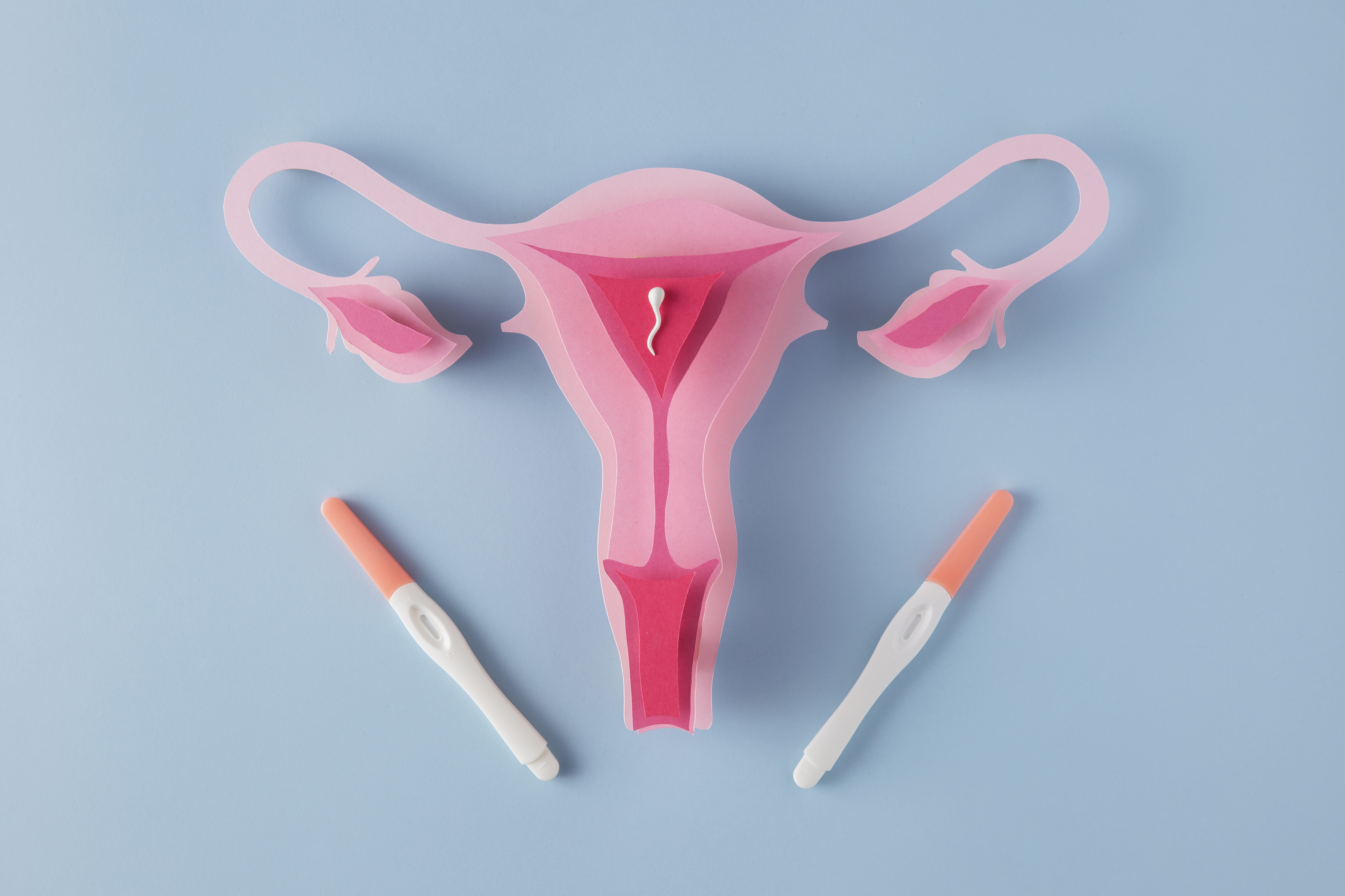 Uterus Meaning in Hindi