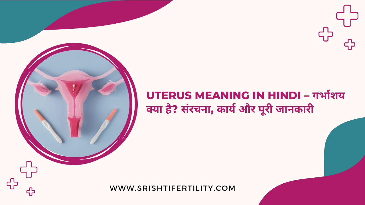 Main Home 40 Main Home Uterus Meaning in Hindi – गर्भाशय क्या है? संरचना, कार्य और पूरी जानकारी