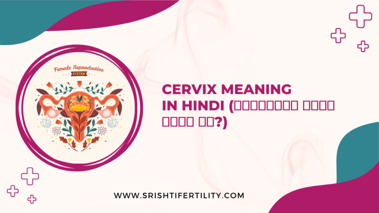 Cervix Meaning in Hindi (सर्विक्स क्या होता है)