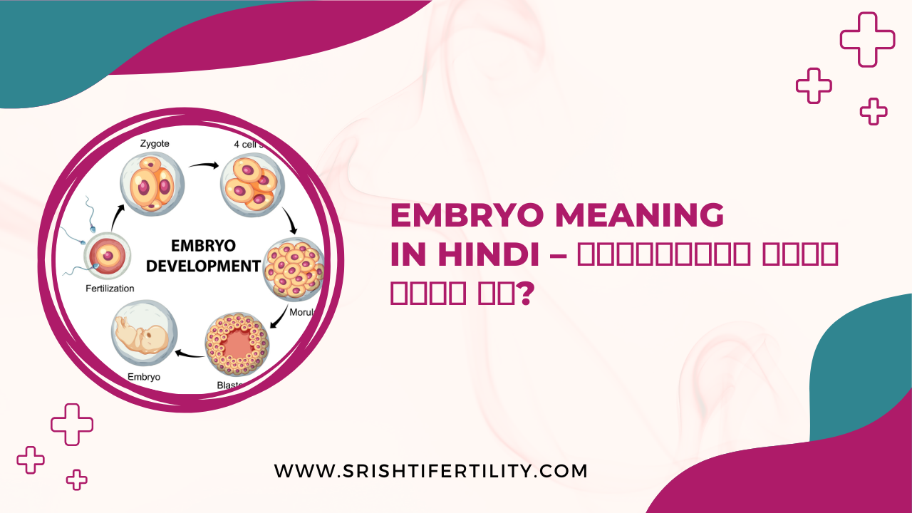 Main Home 26 Main Home Embryo Meaning in Hindi – एम्ब्रियो क्या होता है?