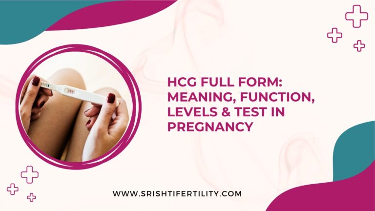 HCG Full Form: Meaning, Function, Levels & Test in Pregnancy