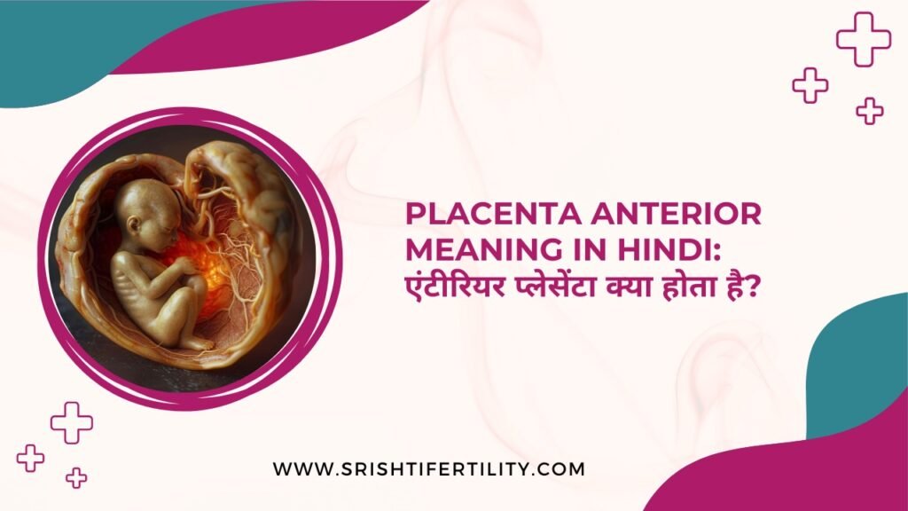 Placenta Anterior Meaning in Hindi: एंटीरियर प्लेसेंटा क्या होता है? 5 Placenta Anterior Meaning in Hindi: एंटीरियर प्लेसेंटा क्या होता है? Placenta Anterior Meaning in Hindi